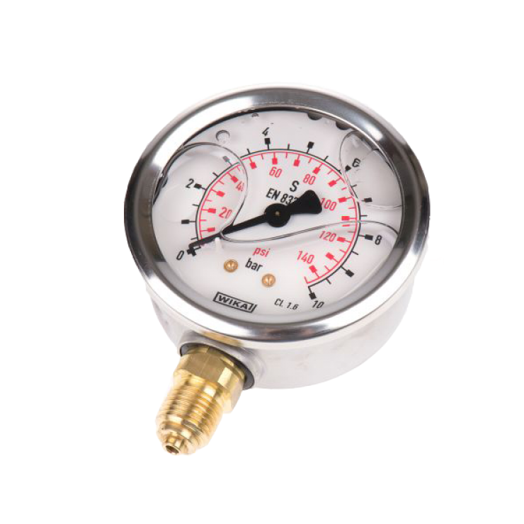 Pressure Gauge S/S Back Lower Mount