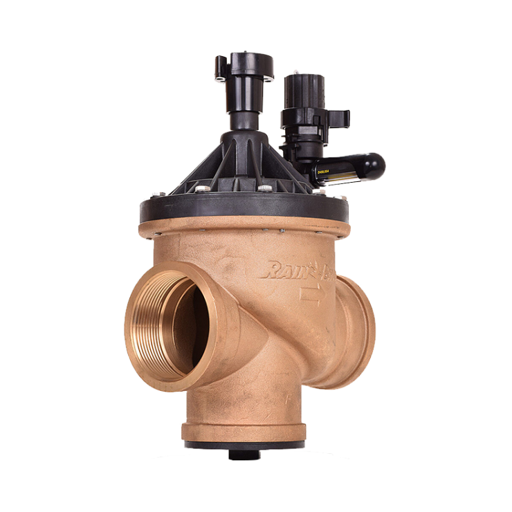 BPE Brass Valve - BSP - with Scrubber