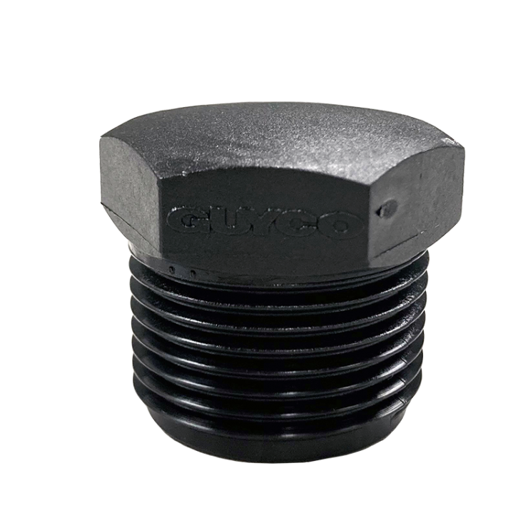 Guyco Threaded Hex Plug